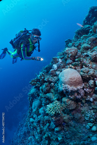 Wallpaper Mural Person wearing a scuba suit and fins discovering underwater life in a clear, blue ocean Torontodigital.ca