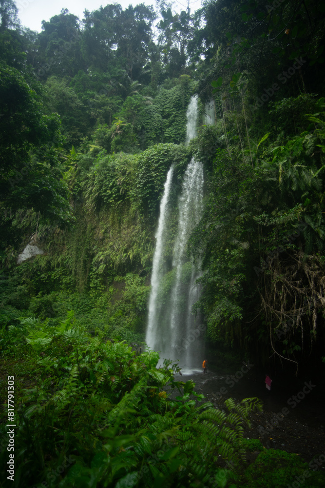 Lush greenery surrounding a serene waterfall in a forest Lush greenery surrounding a serene waterfall in a forest