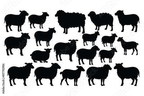 Set of sheep Silhouette Design with white Background and Vector Illustration