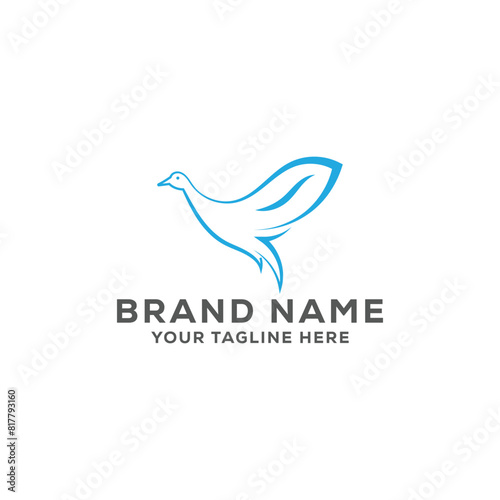 bird logo design template