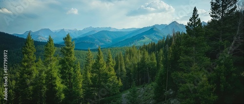 Panoramic Mountain Landscape with Forest