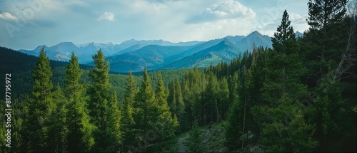 Fototapeta Naklejka Na Ścianę i Meble -  Panoramic Mountain Landscape with Forest