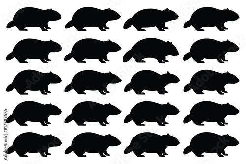 Set of Solid black outline beaver Silhouette Design with white Background and Vector Illustration