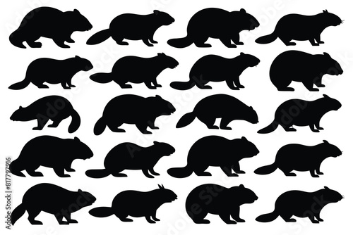 Set of Solid black outline beaver Silhouette Design with white Background and Vector Illustration
