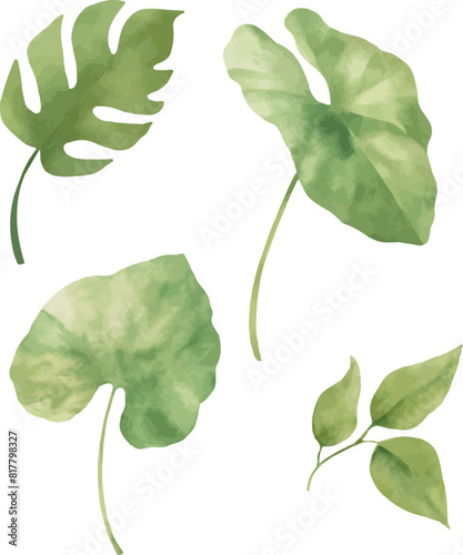 Vector Watercolor jungle leaves clipart. Template, design elements for greeting cards, invitation, gender party, baby shower, birthday, event, holiday, wedding card, printable, EPS.
