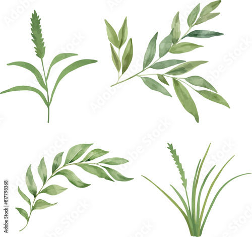 Vector Watercolor tropical green leaves set. Template, design elements for greeting cards, invitation, gender party, baby shower, birthday, event, holiday, wedding card, printable, EPS.