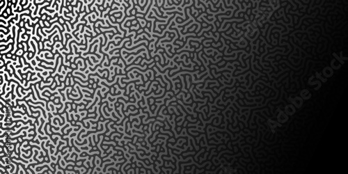 Abstract Reaction-diffusion Turing pattern natural texture grey gradient color scheme. Linear design with biological shapes. Organic lines Memphis. abstract truing organic wallpaper design, vector. photo