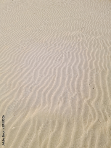 A mesmerizing scene on a Texel, Netherlands sand dune as waves peacefully wash over its slopes.