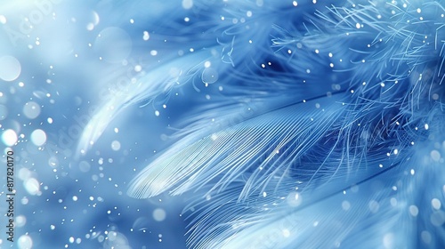  Close-up of blue bird's snow-flecked feathers