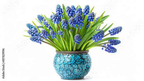 Vase with bouquet of beautiful Muscari flowers 