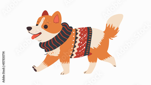 Cute happy dog walking wearing warm winter sweater