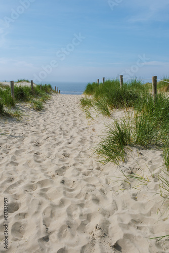 Meandering path through lush green grass  leading to the golden sands of Texel beach under a clear blue sky.