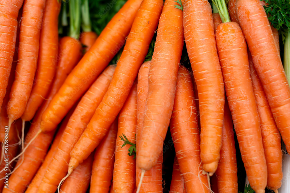 many carrots are piled up together on the table of the market many carrots are piled up together on the table of the market