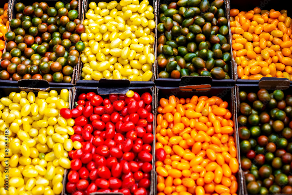 lots of different color tomatoes in boxes near each other outside lots of different color tomatoes in boxes near each other outside