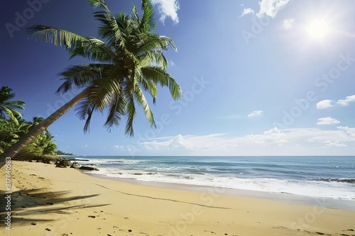 Beautiful Beach with Palm Trees and Clear Blue Sky