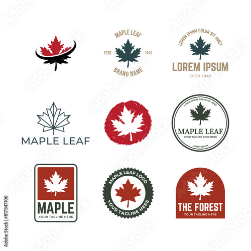 Set of Maple leaf vector logo. Forest and wood symbol sign. Nature tree logo.