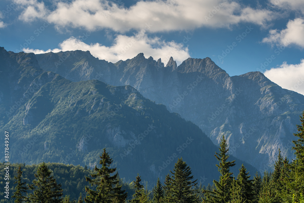 Lush forest enveloped by an enchanting array of trees, with majestic mountains in the backdrop Lush forest enveloped by an enchanting array of trees, with majestic mountains in the backdrop