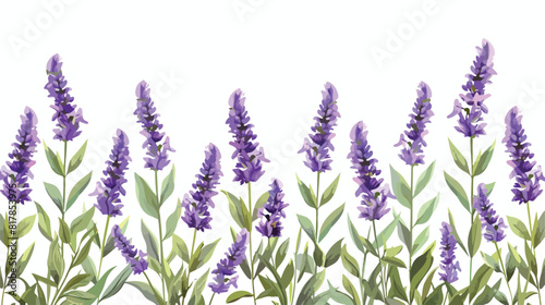 Elegant horizontal backdrop decorated by lavender flower