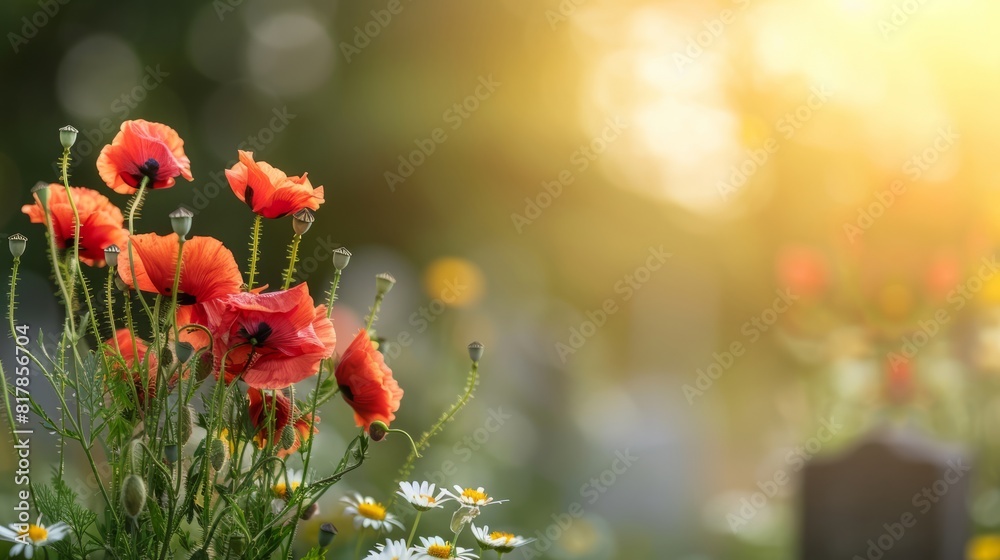 Obraz premium memorial day background concept, flowers and gravestone with copy space