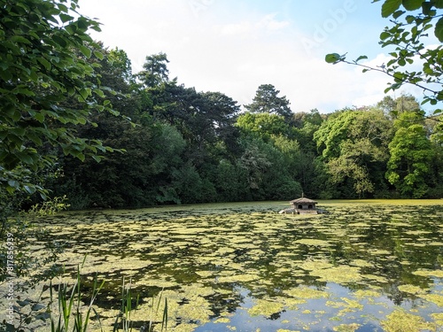 Castle park pond