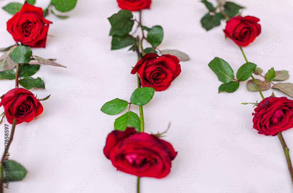 some roses are arranged out on the table, which appears to be made up by some roses are arranged out on the table, which appears to be made up by