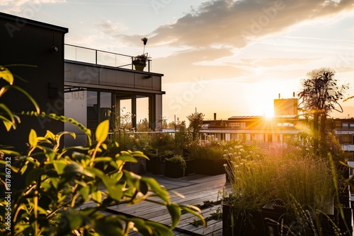 A serene sunset view from a rooftop garden with abundant greenery, potted plants, and modern buildings in the background.