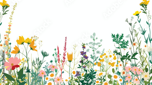 Floral card design with wild flowers field herbal plant