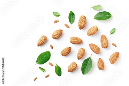 Natural Almonds and Leaves. Minimalist Design on White Canvas