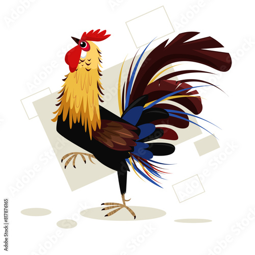 Rooster birds vector with white Background
