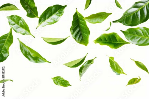 Green tea leaves flying in circles on white background 