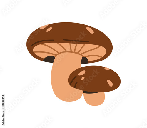 Shiitake mushrooms. Fungi of different size, big and small. Edible fresh organic natural forest food. Autumn fall fungus family. Flat graphic vector illustration isolated on white background