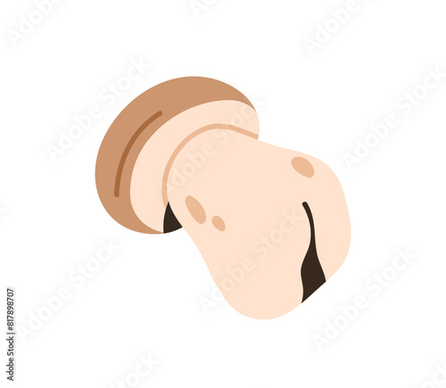 Porcini mushroom. Autumn forest fungus, Boletus with big thick stipe, stalk. Edible fresh food. Natural fall fungi. Flat graphic vector illustration isolated on white background