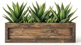 Weathered Wooden Planter Box with Succulents