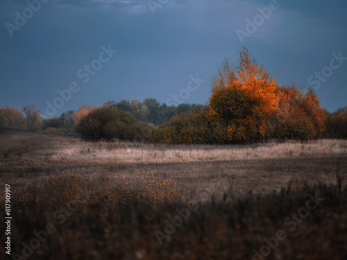 Fototapeta Naklejka Na Ścianę i Meble -  Jesień