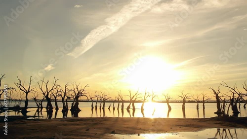 Dead Dry Trees at Sunset at the Ghost Town Called Villa Epecuen, Buenos Aires Province, Argentina. 4K Resolution. photo