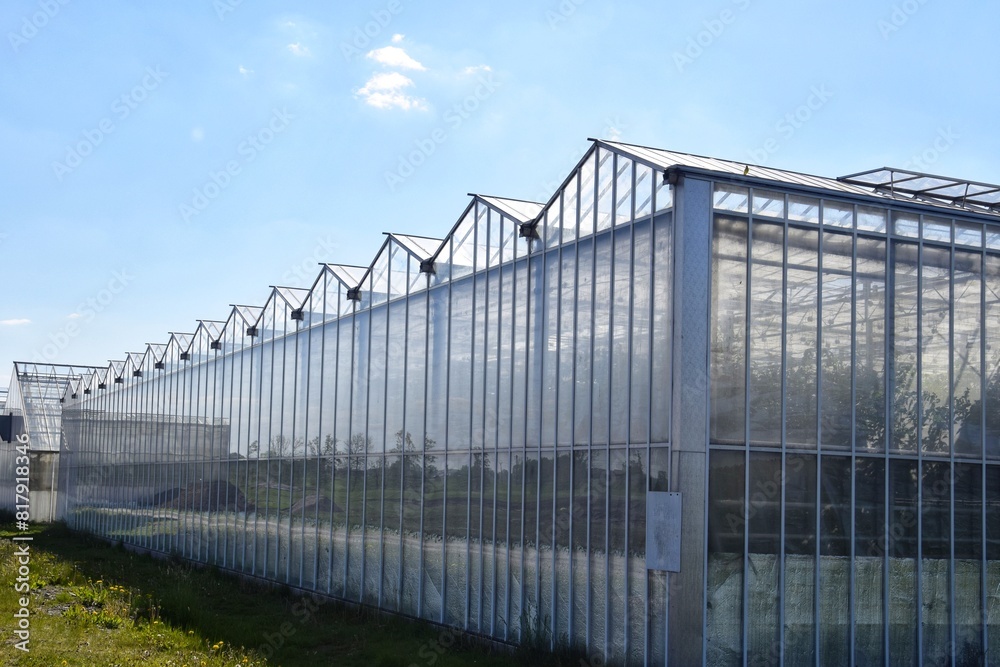 Greenhouses of a small farm for growing all-season fresh vegetables in Sweden Greenhouses of a small farm for growing all-season fresh vegetables in Sweden