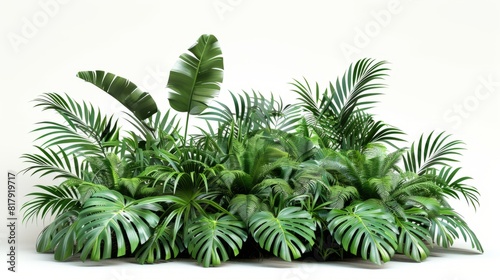 Green palm foliage cut out white background © May