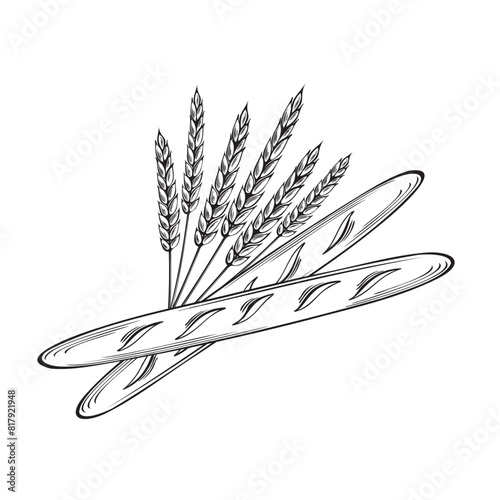 Baguettes and Wheat ears. Bakery goods, French white wheat bread. Vector flat illustration linear, isolated. Sereals for flour production.Template for wrapping, cookbook, menu, showcase, app, website.