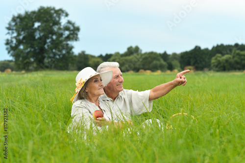 Portrait of senior couple in summer field