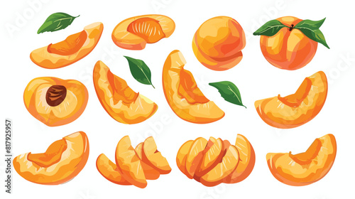 Fruit wedges apricot pieces in realistic vintage style