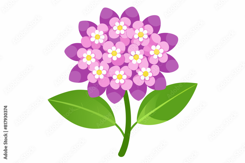 Obraz premium A beautiful candytuft flower vector artwork illustration