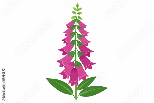 Εκτύπωση καμβά A beautiful foxglove flower vector artwork illustration