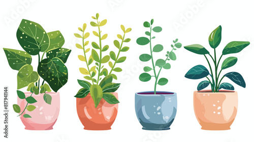 Potted home plants Four. Abstract leaf houseplants gr