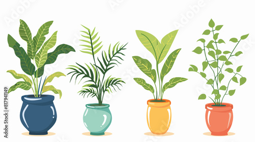 Potted plants Four. Leaf houseplants in planters indo © Amber