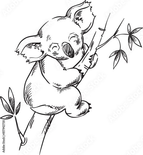 Koala's Tranquil Abode: Hand-Drawn Australian Wildlife line drawing 
