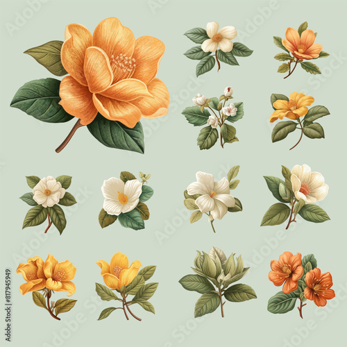 Set of Vintage Handrawn Flower