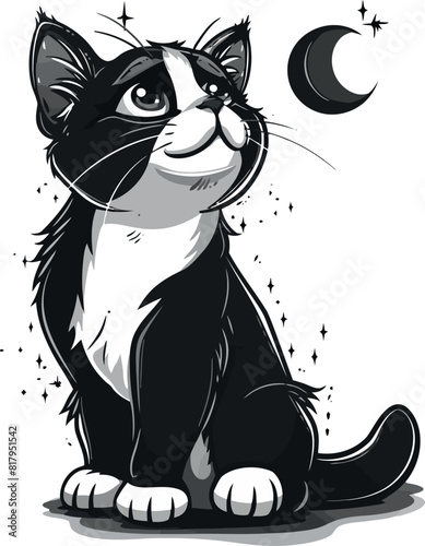 gatto che guarda la luna 04