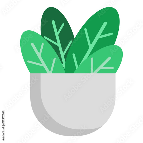 Healthy Salad Bowl