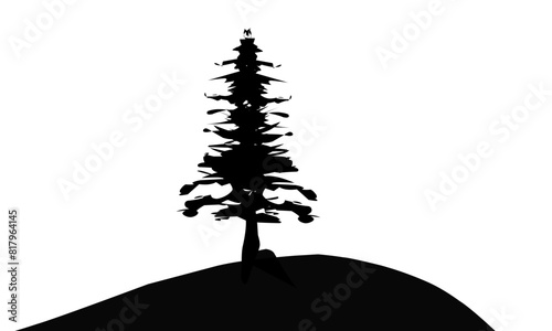 silhouette of tree on top of small hill