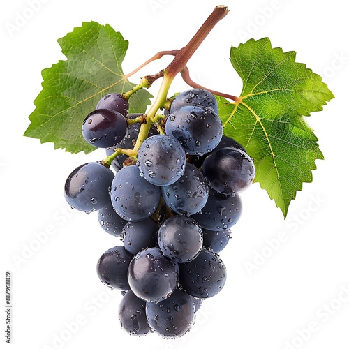 a photo of Grape, isolated on white background. photo